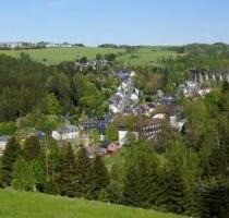 ❤️IM LUFT-UND NATUR KURORT LICHTE❤️ ✨NATURPARK THÜRINGER WALD ✨ - Neuhaus am Rennweg