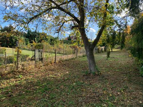 Foto - Schwanebeck: Idyllisches Freizeitgrundstück Pachtgrundstück