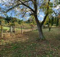 Schwanebeck: Idyllisches Freizeitgrundstück Pachtgrundstück - Gröningen
