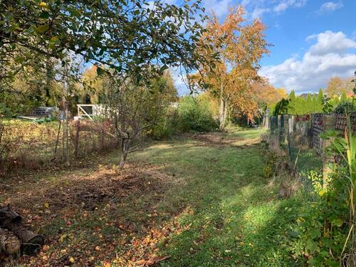 Foto - Grundstück in Gröningen