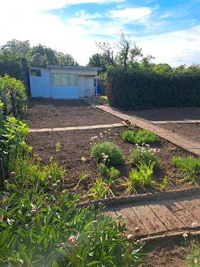 Foto - Grundst&uuml;ck in Magdeburg zur Miete