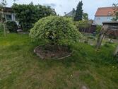 Foto - Grundstück in Prenzlau