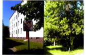 Foto - Etagenwohnung in Leipzig zum Kaufen