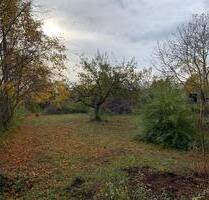 Hettstedt-City: Freizeitgrundstück Pachtgrundstück