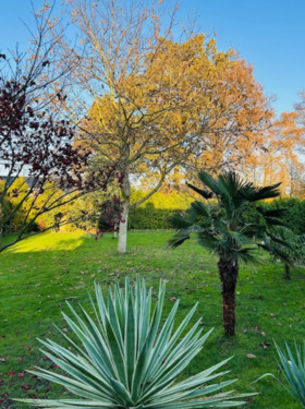 Foto - Einfamilienhaus zur Miete in Dülmen