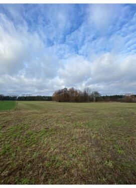 Foto - Grundstück in Ludwigsfelde zur Miete