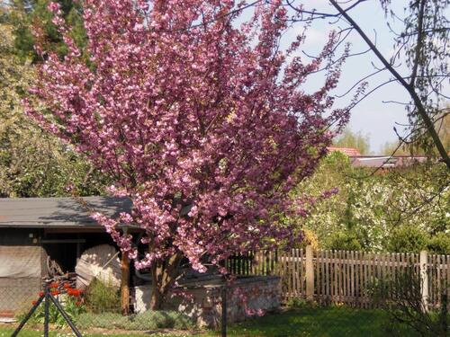 Foto - 3 Zimmer Etagenwohnung in Rötha