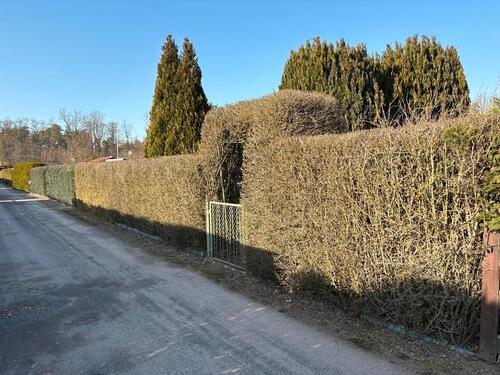 Foto - Grundst&uuml;ck zur Miete in Haldensleben