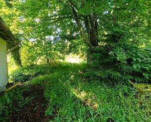 kleiner Bauernhof mit Scheune zum verwirklichen - Wald-Michelbach
