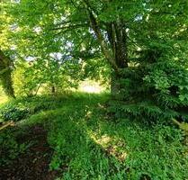 kleiner Bauernhof mit Scheune zum verwirklichen - Wald-Michelbach