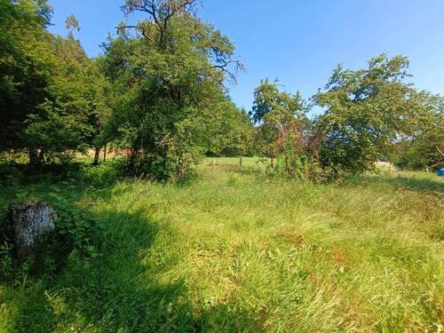 Foto - 1 Zimmer Bauernhaus, Landhaus zum Kaufen in Wald-Michelbach