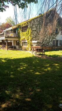 Foto - Erdgeschoßwohnung in Oberdreis zur Miete