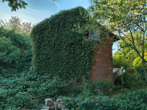 Foto - Einfamilienhaus zum Kaufen in Hattorf am Harz