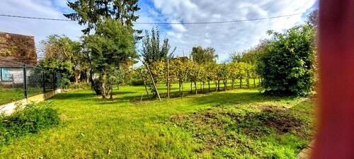 Foto - Einfamilienhaus in Breisach am Rhein