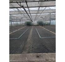 Stellplätze Wohnwagen, Wohnmobil, Boote usw. in Anholt - Isselburg