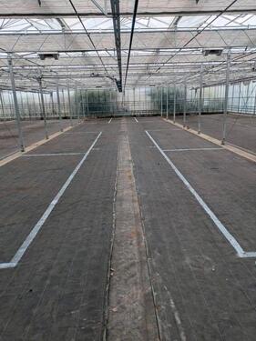 Foto - andere zur Miete in Isselburg