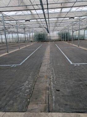 Foto - andere in Isselburg