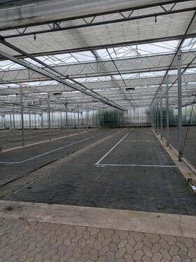 Foto - andere in Isselburg zur Miete