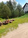 Foto - Grundst&uuml;ck in Poppenhausen