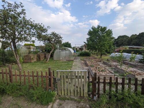 Foto - Kleingarten 340qm großes Gewächshaus Brunnenanschluss
