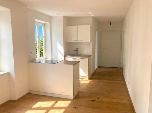 Foto - ***SANIERTER ALTBAU*** - Geräumiges Apartment in der Straubinger Innenstadt