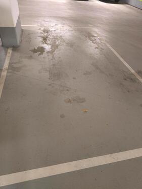 Foto - andere in Hamburg