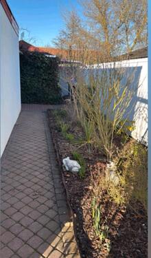 Foto - Einfamilienhaus in Laage zur Miete