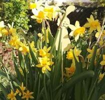 Großzügige 4-Zimmer-Wohnung in 21271 Asendorf zu vermieten - Hanstedt