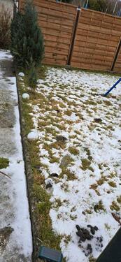 Foto - Grundst&uuml;ck in Lübeck zur Miete