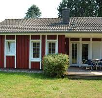 Ferienhaus auf Usedom Ostsee Ferienwohnung - Zinnowitz