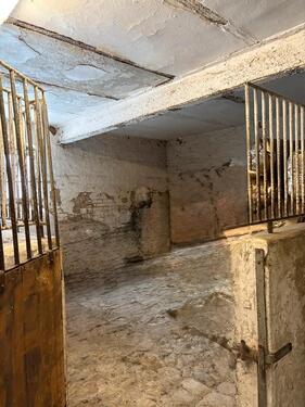 Foto - andere in Wernigerode