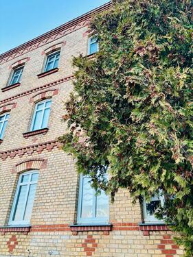 Foto - Wohnung zu vermieten - 550,00&nbsp;EUR Kaltmiete, ca.&nbsp; 50,00&nbsp;m&sup2;