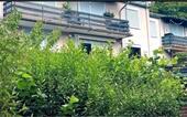 Foto - Schöne 3-Zimmer-Wohnung im Grünen - ruhig und naturnah wohnen