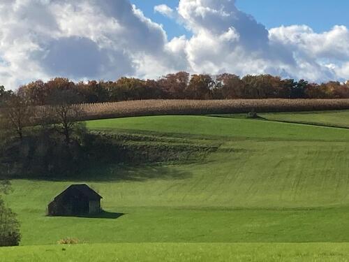 Foto - Landwirtschaftl. Grundstück, Freizeitgrundstück, Ausgleichsfläche