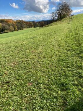 Foto - Grundst&uuml;ck in Ebersberg zur Miete