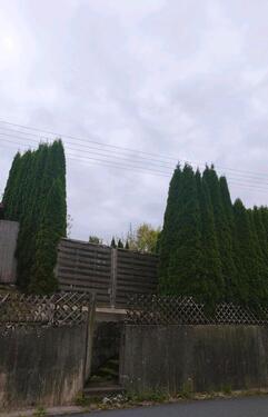 Foto - Einfamilienhaus in Kronach zum Kaufen