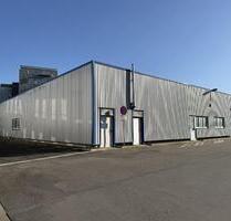 Vielseitig nutzbare Lagerhalle in Ense-Bremen