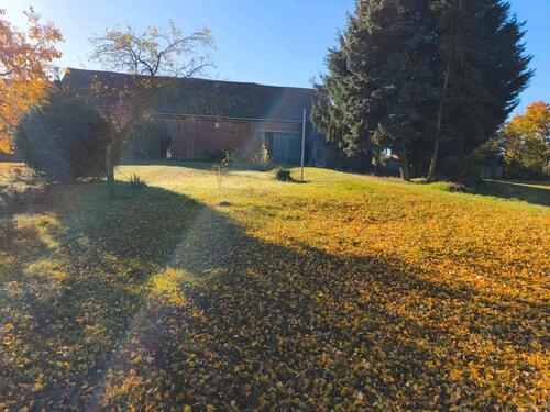Foto - Bauernhaus, Landhaus in Tangerhütte zum Kaufen