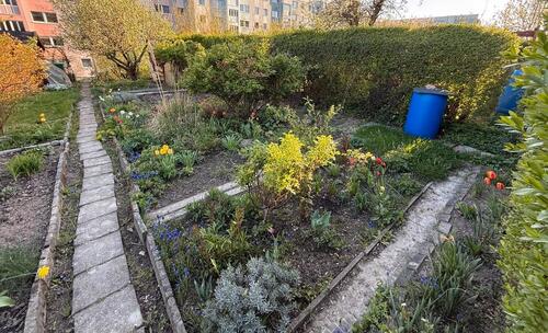 Foto - Grundst&uuml;ck zur Miete in Dresden