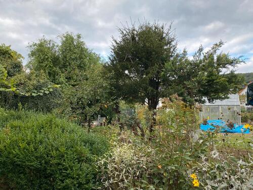 Foto - Einfamilienhaus in Hohenroda zum Kaufen