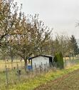 Foto - Wochenendgrundstück Pacht Gartengrundstück mit Hütte 550qm