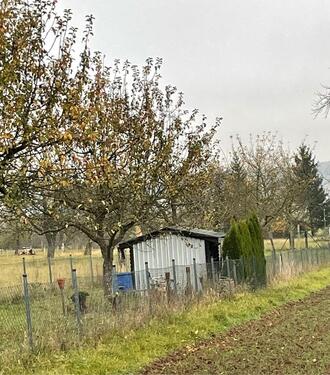 Foto - Wochenendgrundstück Pacht Gartengrundstück mit Hütte 550qm