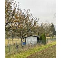 Wochenendgrundstück Pacht Gartengrundstück mit Hütte 550qm - Sersheim