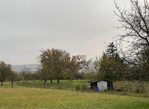 Foto - Grundst&uuml;ck zur Miete in Sersheim