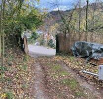 Verkauf Freizeitgrundstück u. Waldgrundstück unterhalb Windeck - Weinheim
