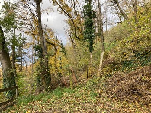 Foto - Grundst&uuml;ck zum Kaufen in Weinheim