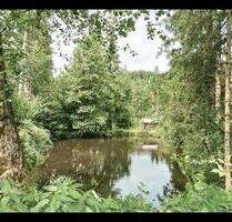 Anfrage-STOP Freizeitgrundstück inkl. Weiher zu verpachten - Straubing