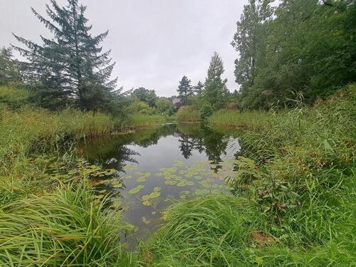 Foto - andere zur Miete in Zeven