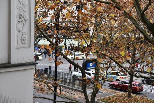 Foto - andere in Berlin