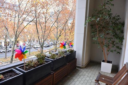 Foto - andere in Berlin zur Miete